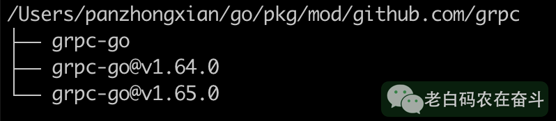 【Go】理解包、模块 第10张